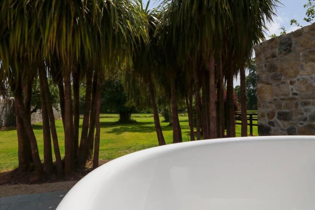 5* Self Catering Βίλα Nenagh Εξωτερικό φωτογραφία